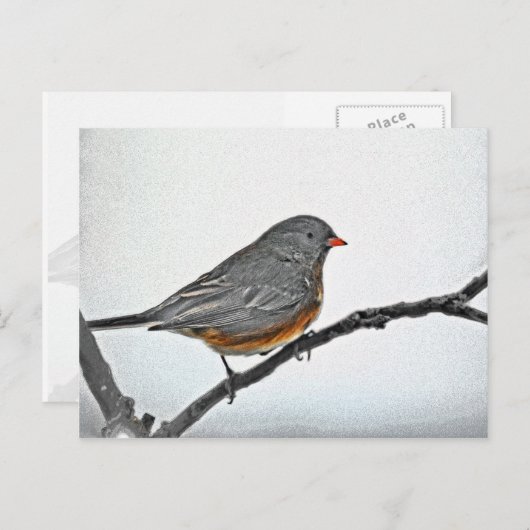 WinterSparrow Briefkaart (Voorkant / Achterkant)