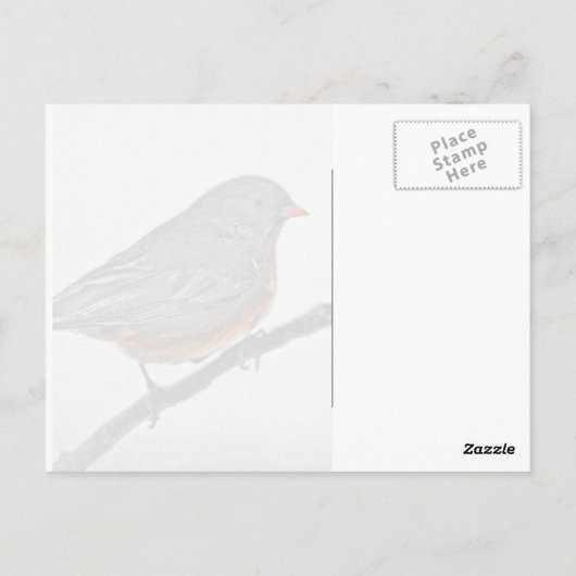 WinterSparrow Briefkaart (Achterkant)