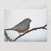 WinterSparrow Briefkaart (Voorkant)
