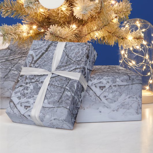 Winterspoelpapier Cadeaupapier (Feestdagen)