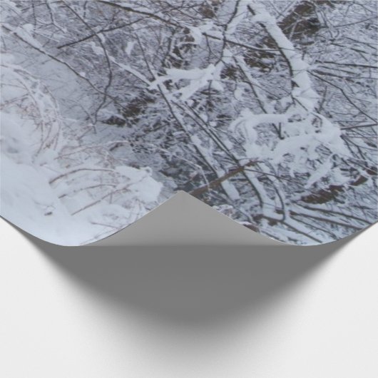 Winterspoelpapier Cadeaupapier (Hoek)