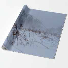Winterspoelpapier Cadeaupapier