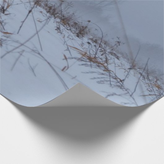 Winterspoelpapier Cadeaupapier (Hoek)