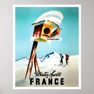 Wintersport in Frankrijk, kleine vogel thuis Poster