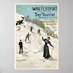 Wintersport Sneeuwschoenen Skiën Alpen Bergen Poster
