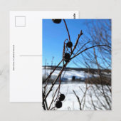Winterspostkaart Baies d'hiver Briefkaart (Voorkant / Achterkant)