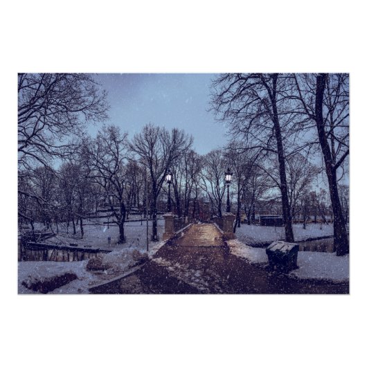 Winterstad park in de avond perfect poster (Voorkant)