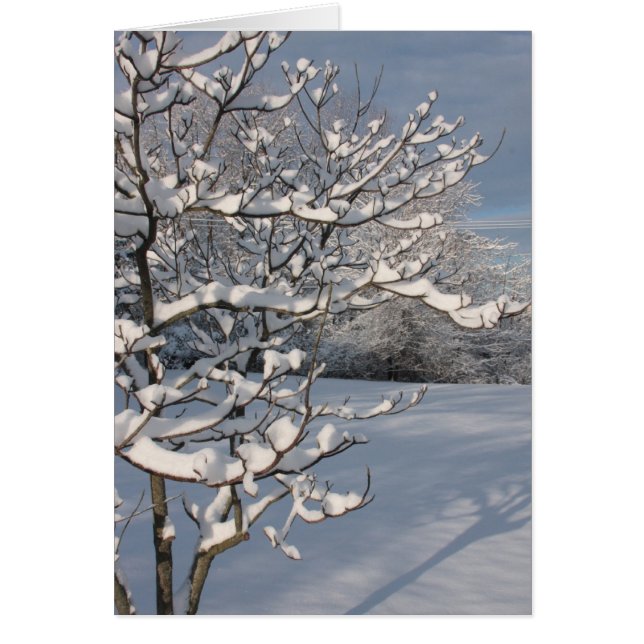 WinterStorm (Voorkant)