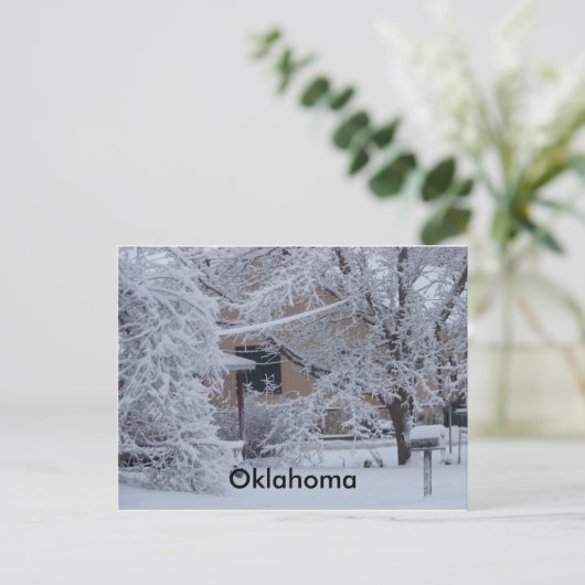 Winterstorm 2010 (Oklahoma) Briefkaart (Staand voorkant)