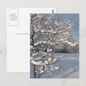 WinterStorm Briefkaart (Voorkant / Achterkant)