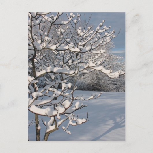 WinterStorm Briefkaart (Voorkant)