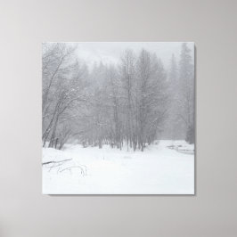 WinterStorm Canvas Afdruk