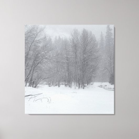 WinterStorm Canvas Afdruk (Voorkant)
