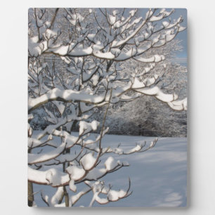WinterStorm Fotoplaat