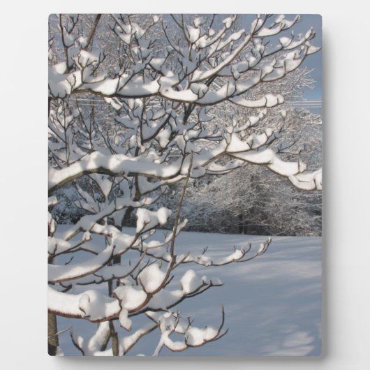WinterStorm Fotoplaat (Voorkant)