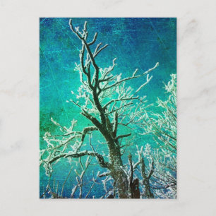 winterstructuur, bevroren briefkaart