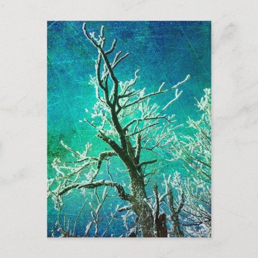 winterstructuur, bevroren briefkaart (Voorkant)