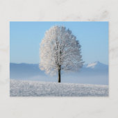 winterstructuur Serenity Prayer Briefkaart (Voorkant)