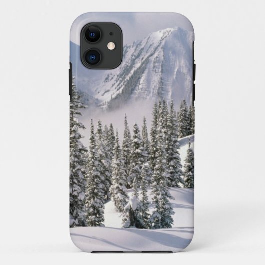 wintertaferelen-66 Case-Mate iPhone case (Achterkant)