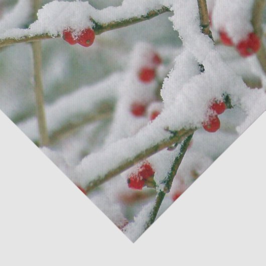 Wintertakken met rode bessen en sneeuw tissuepapier (Detail)