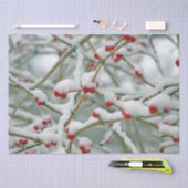 Wintertakken met rode bessen en sneeuw tissuepapier (Craft)