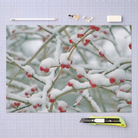 Wintertakken met rode bessen en sneeuw tissuepapier (Craft)