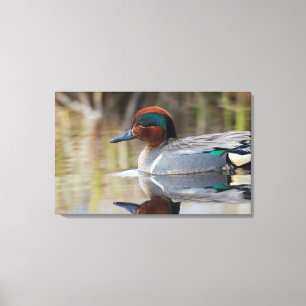 Wintertaling Canvas Afdruk