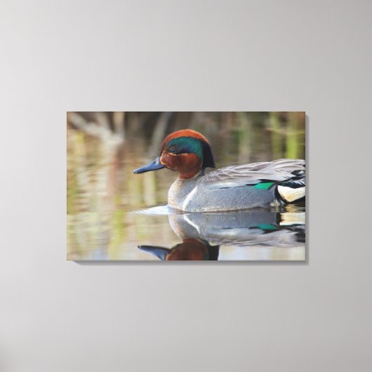 Wintertaling Canvas Afdruk (Voorkant)