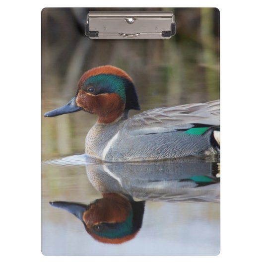 Wintertaling Klembord (Voorkant)