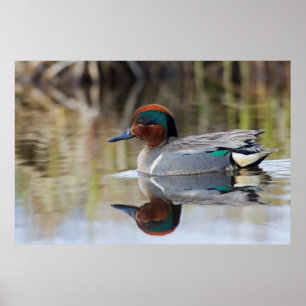 Wintertaling Poster