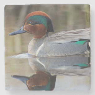 Wintertaling Stenen Onderzetter