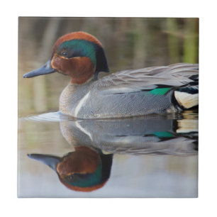 Wintertaling Tegeltje