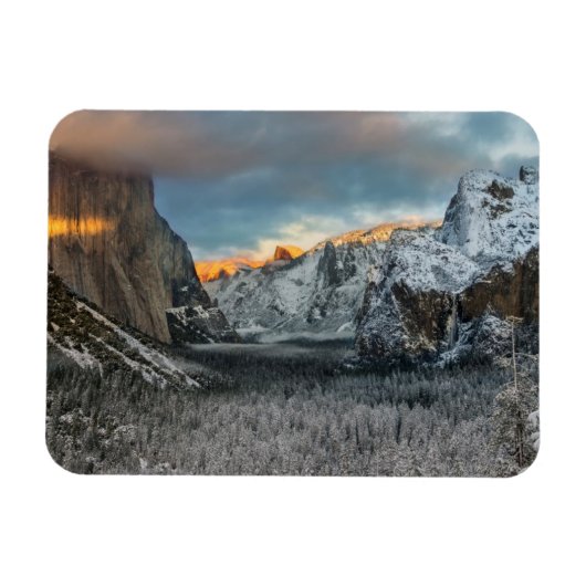 Winterteken Magneet (Horizontaal)