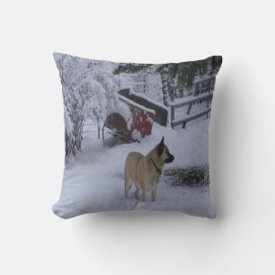 Wintertijd...... Kussen