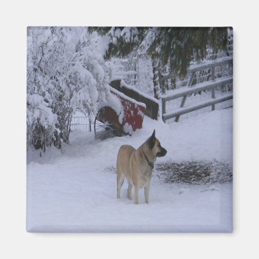 Wintertijd...... Magneet (Voorkant)