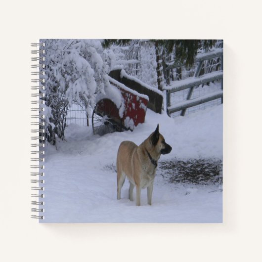 Wintertijd.... Notitieboek (Voorkant)