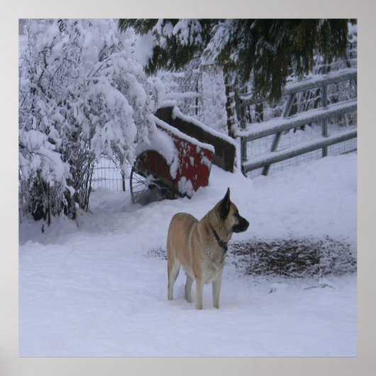 Wintertijd.... Poster (Voorkant)