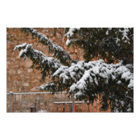 Wintertijd, sneeuw op de bomen