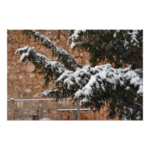 Wintertijd, sneeuw op de bomen foto afdruk