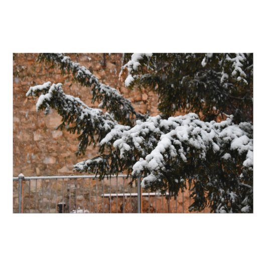Wintertijd, sneeuw op de bomen foto afdruk (Voorkant)