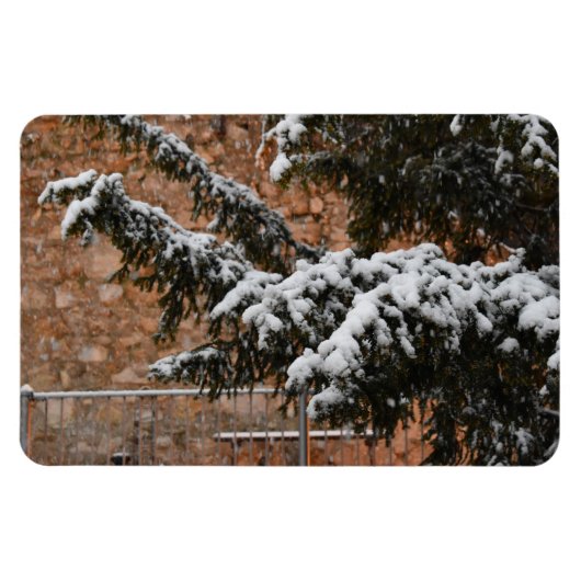 Wintertijd, sneeuw op de bomen magneet (Horizontaal)