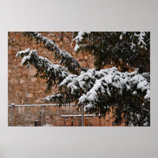 Wintertijd, sneeuw op de bomen poster (Voorkant)