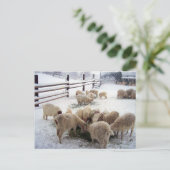 Wintertijd voor geiten briefkaart (Staand voorkant)