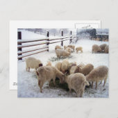 Wintertijd voor geiten briefkaart (Voorkant / Achterkant)