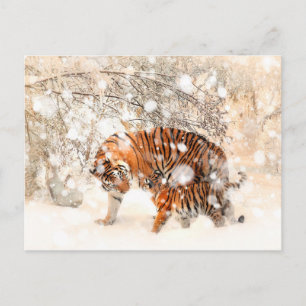 Wintertijgers Briefkaart