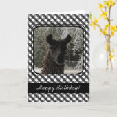 Wintertime Llama & Black Gingham Kaart (Gele Bloem)