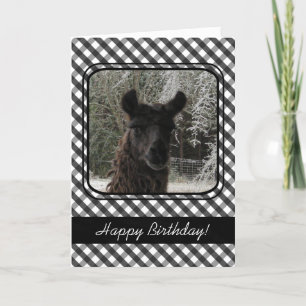 Wintertime Llama & Black Gingham Kaart