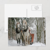 Wintertime Sleigh Ride Briefkaart (Voorkant / Achterkant)
