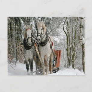 Wintertime Sleigh Ride Briefkaart