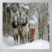 Wintertime Sleigh Ride Poster (Voorkant)